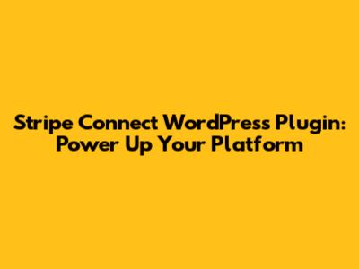 Stripe Connect WordPress Plugin: Power Up Your Platform