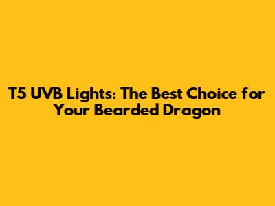 T5 UVB Lights: The Best Choice for Your Bearded Dragon