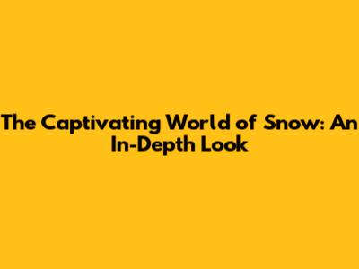 The Captivating World of Snow: An In-Depth Look