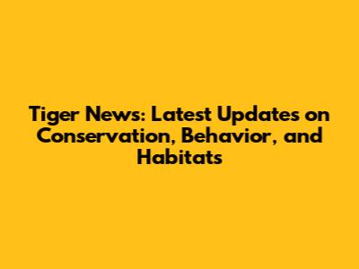 Tiger News: Latest Updates on Conservation, Behavior, and Habitats