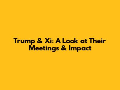 Trump & Xi: A Look at Their Meetings & Impact