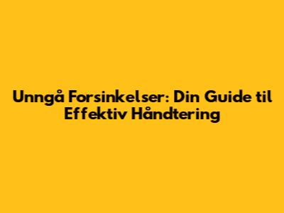 Unngå Forsinkelser: Din Guide til Effektiv Håndtering