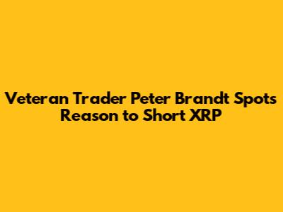 Veteran Trader Peter Brandt Spots Reason to Short XRP