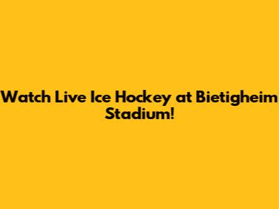 Watch Live Ice Hockey at Bietigheim Stadium!