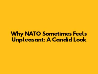 Why NATO Sometimes Feels 'Unpleasant': A Candid Look
