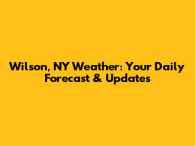 Wilson, NY Weather: Your Daily Forecast & Updates