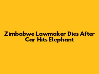 Zimbabwe Lawmaker Dies After Car Hits Elephant